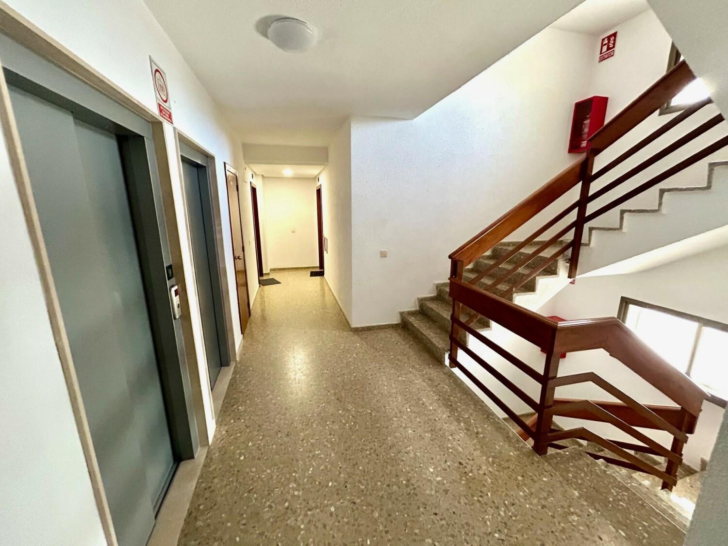 Gatu Arena " Preferente Mayores De 25 Anos Y Familias " El Puerto de Santa María Exterior foto